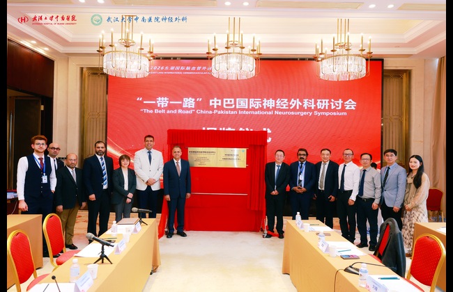 the diplomatic vission